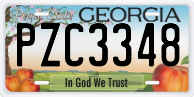 GA license plate PZC3348