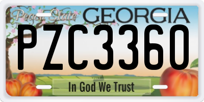 GA license plate PZC3360