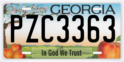 GA license plate PZC3363