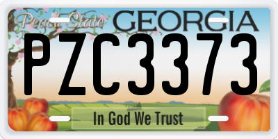 GA license plate PZC3373
