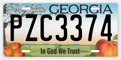 GA license plate PZC3374
