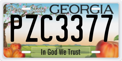 GA license plate PZC3377