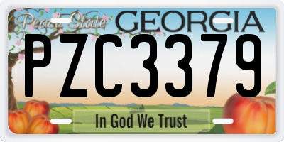 GA license plate PZC3379