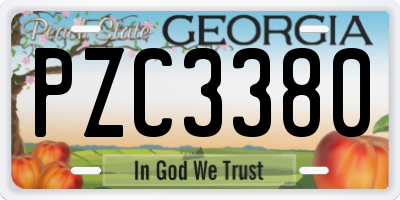 GA license plate PZC3380