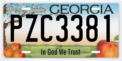 GA license plate PZC3381