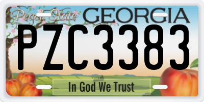 GA license plate PZC3383