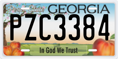 GA license plate PZC3384