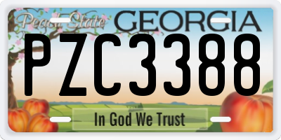 GA license plate PZC3388