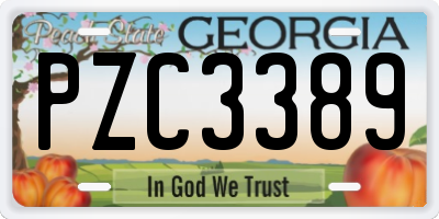 GA license plate PZC3389