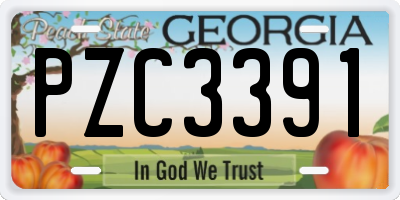 GA license plate PZC3391