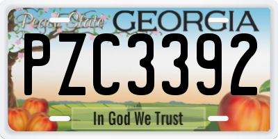 GA license plate PZC3392