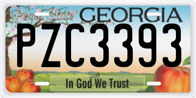 GA license plate PZC3393