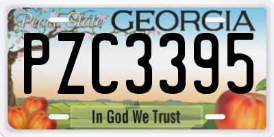 GA license plate PZC3395