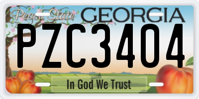 GA license plate PZC3404