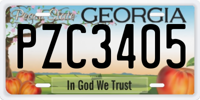 GA license plate PZC3405