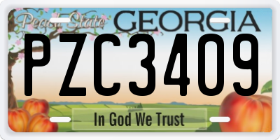 GA license plate PZC3409