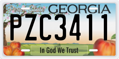 GA license plate PZC3411