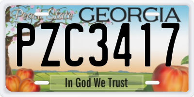 GA license plate PZC3417