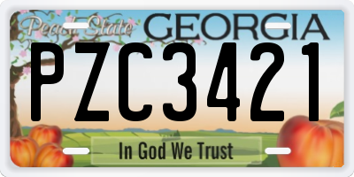 GA license plate PZC3421