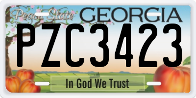 GA license plate PZC3423