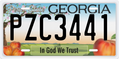 GA license plate PZC3441