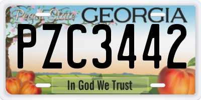 GA license plate PZC3442
