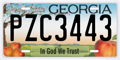 GA license plate PZC3443