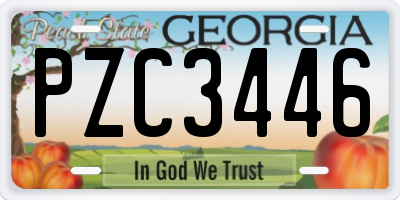 GA license plate PZC3446