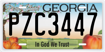 GA license plate PZC3447