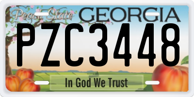 GA license plate PZC3448