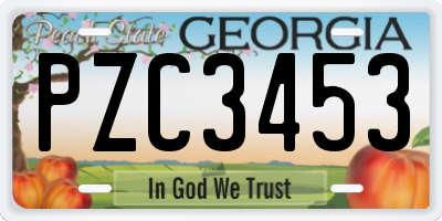 GA license plate PZC3453