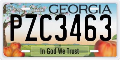 GA license plate PZC3463