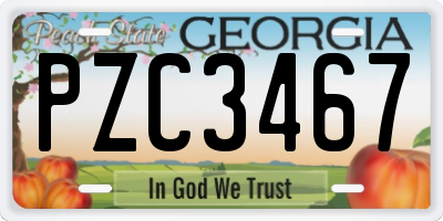 GA license plate PZC3467