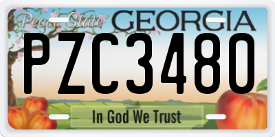 GA license plate PZC3480