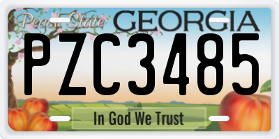 GA license plate PZC3485