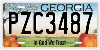 GA license plate PZC3487
