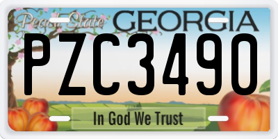 GA license plate PZC3490