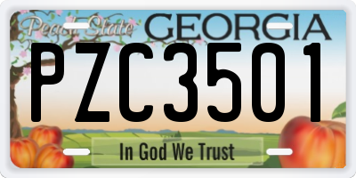 GA license plate PZC3501