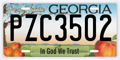 GA license plate PZC3502