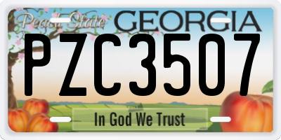 GA license plate PZC3507