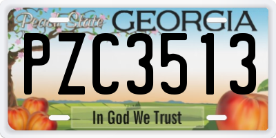 GA license plate PZC3513