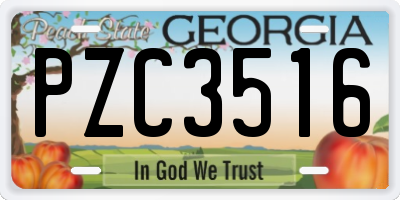 GA license plate PZC3516