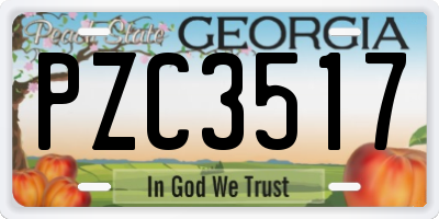 GA license plate PZC3517