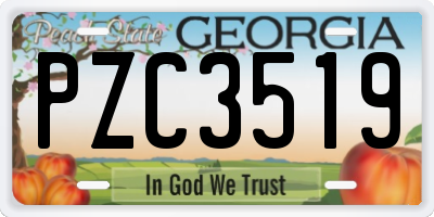 GA license plate PZC3519