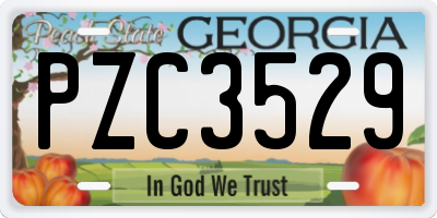 GA license plate PZC3529