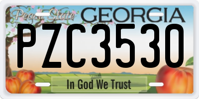 GA license plate PZC3530