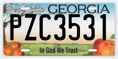 GA license plate PZC3531