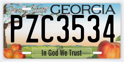 GA license plate PZC3534
