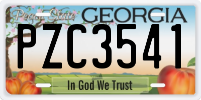 GA license plate PZC3541