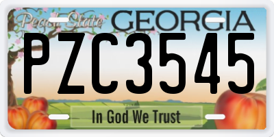 GA license plate PZC3545